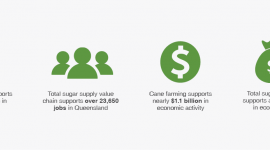 Sugarcane's economic contribution to Queensland