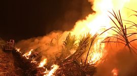 New Notice for safe and legal cane fires