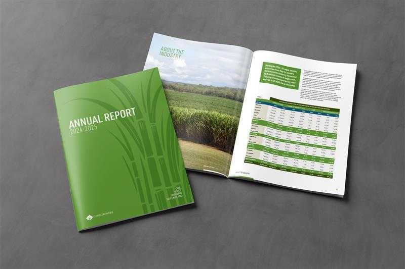  Publication Annual Report 24 25 