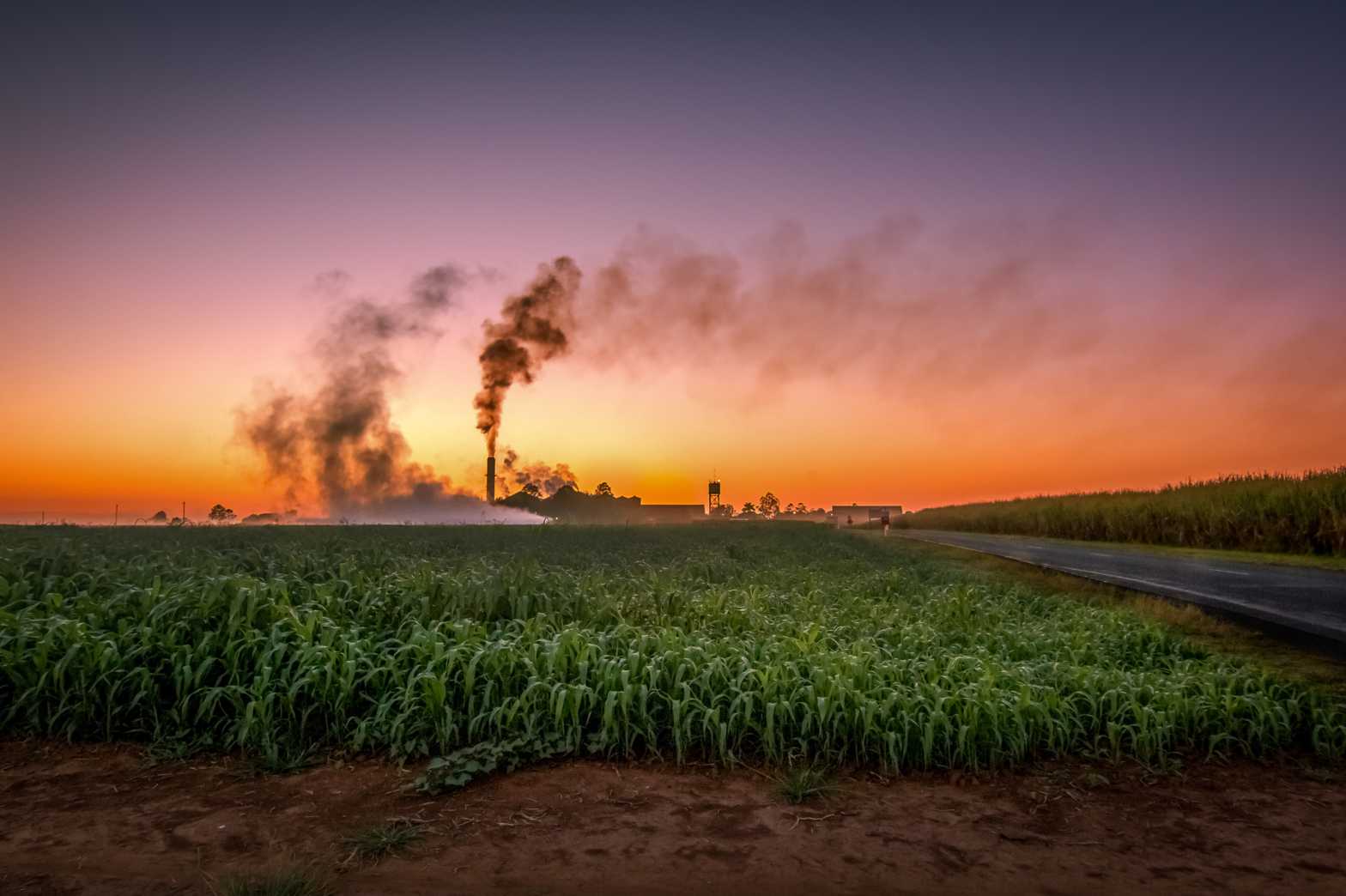  Bingara sugar mill Bundaberg 