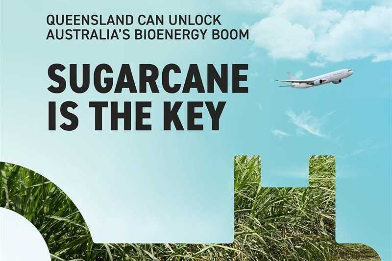  Bioenergy boom 2025 social 1 