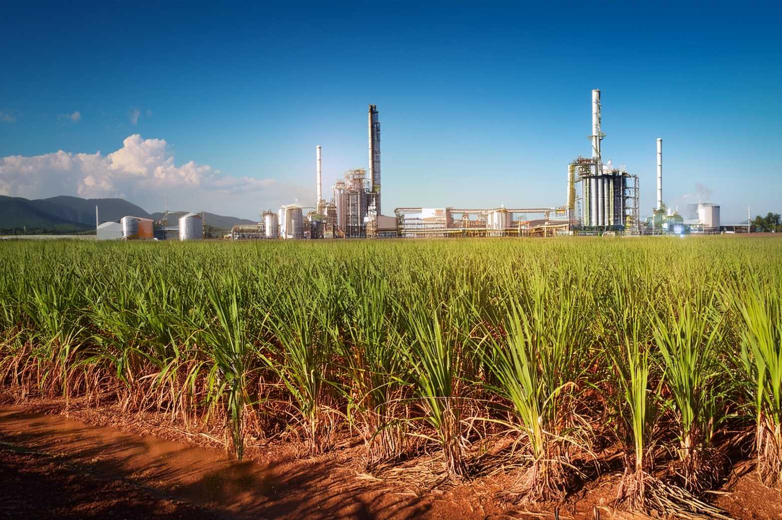  Ethanol plant AI 