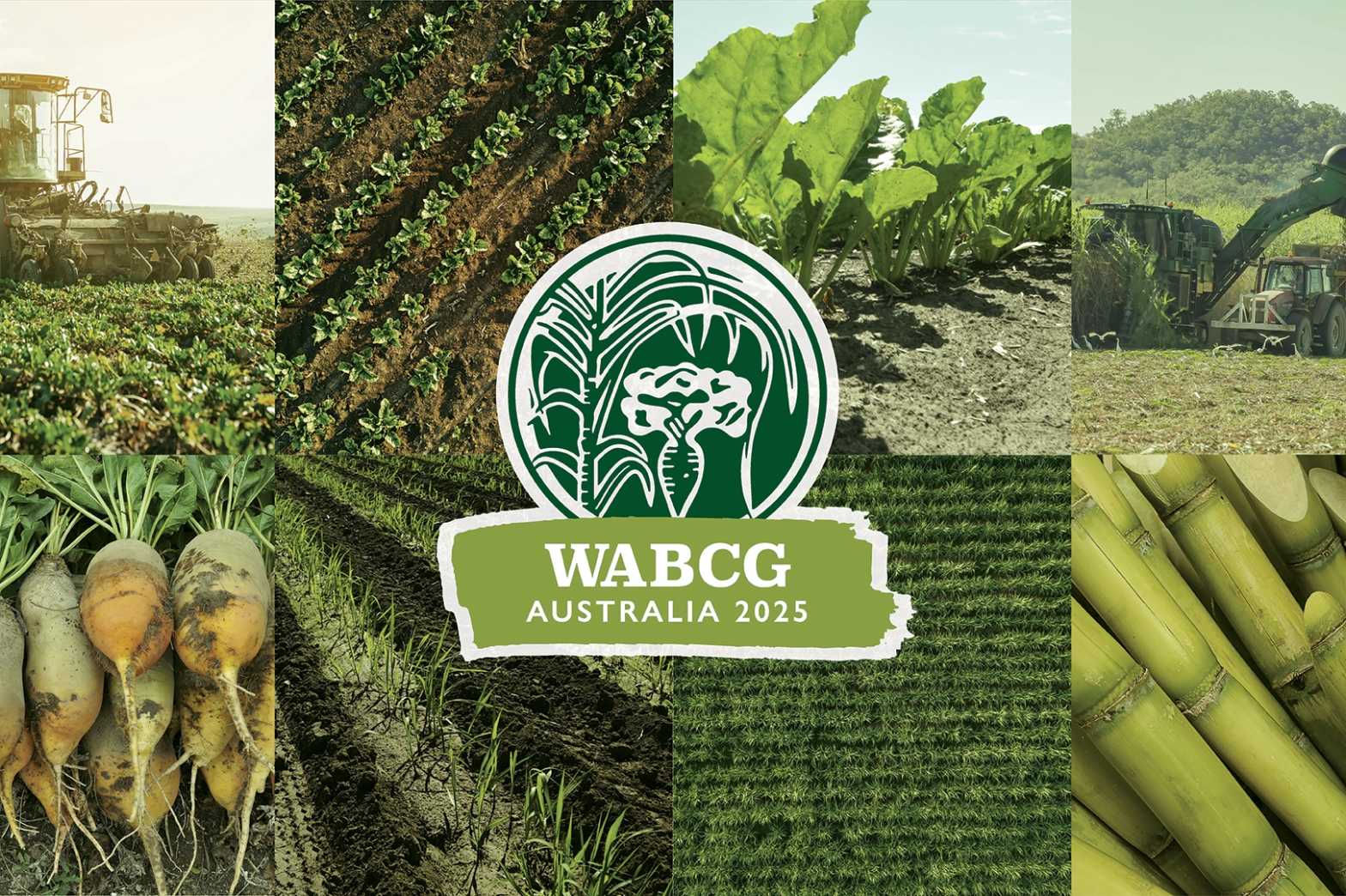  WABCG Digital screen 
