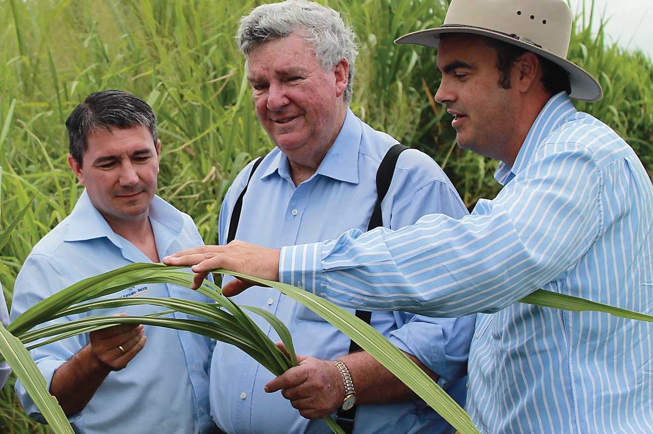  Ron boswell in cane 2012 
