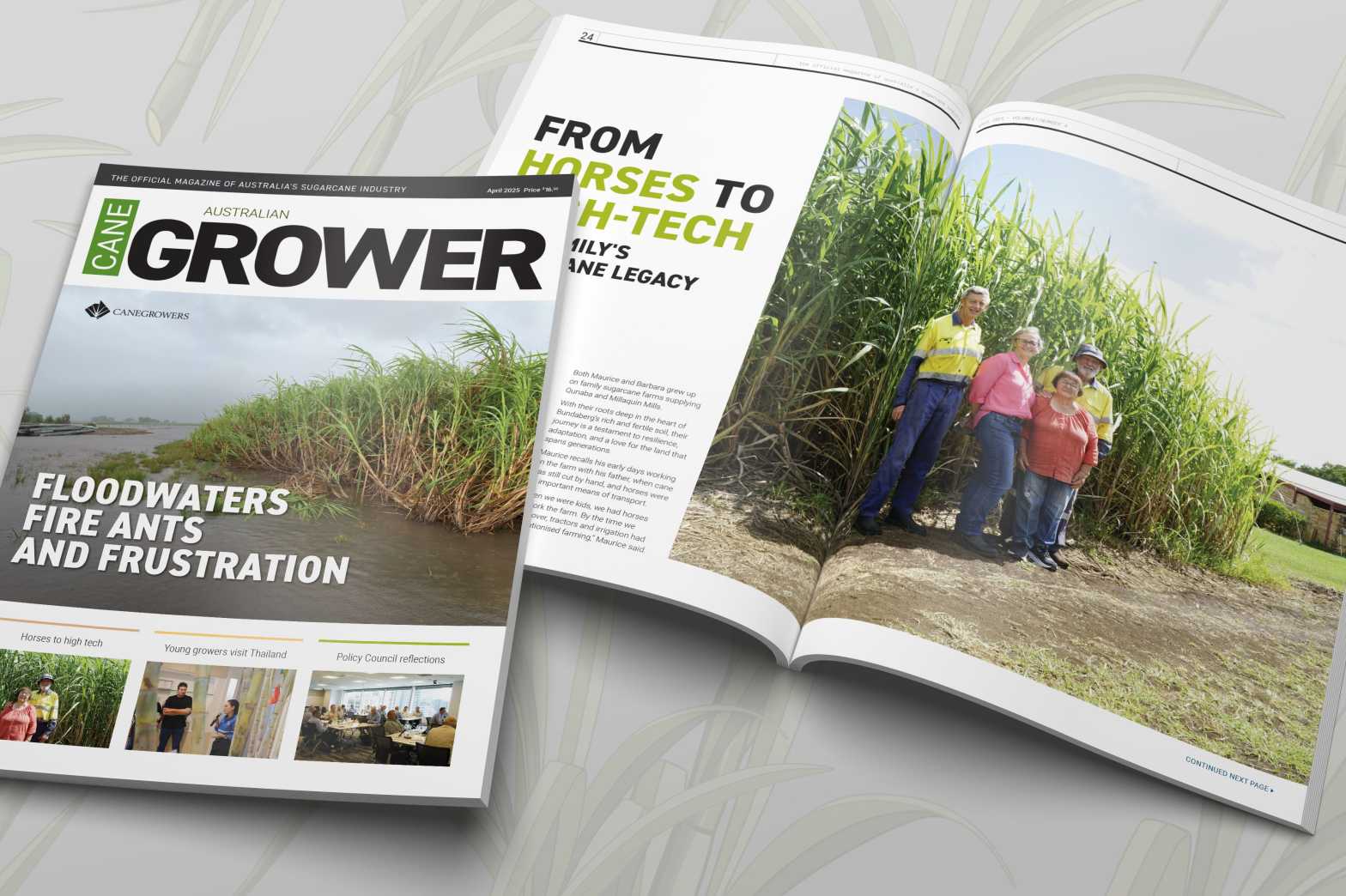  Magazine In situ 2025 April 