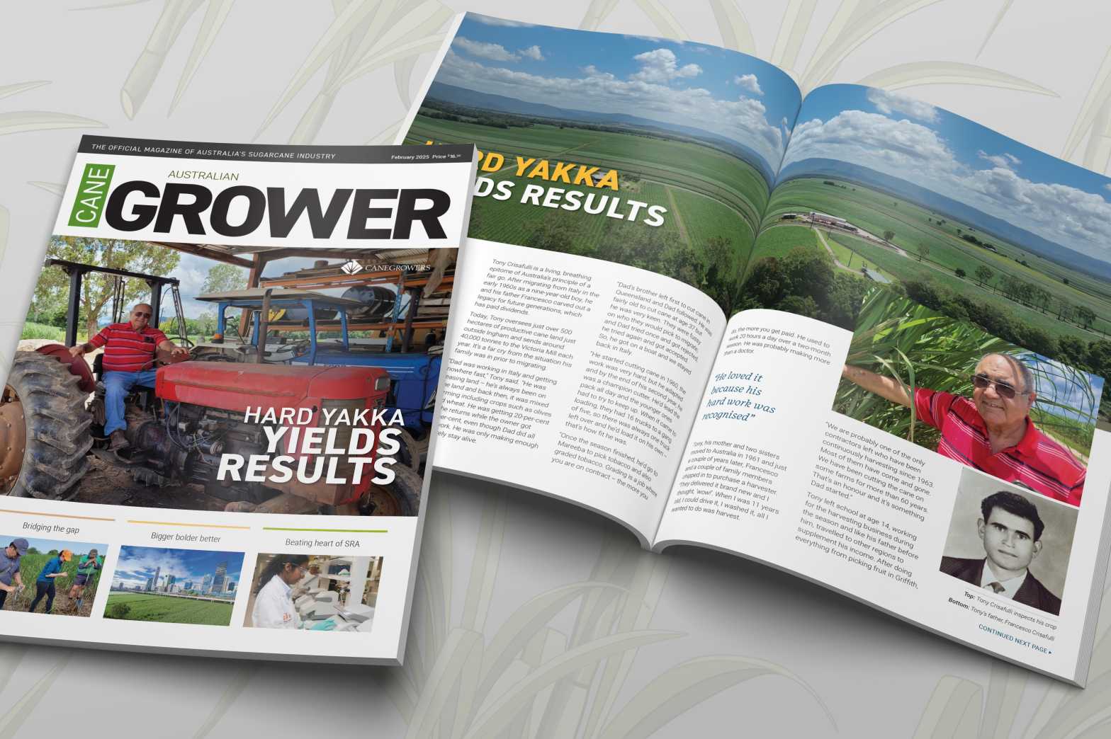  Magazine In situ 2025 February 