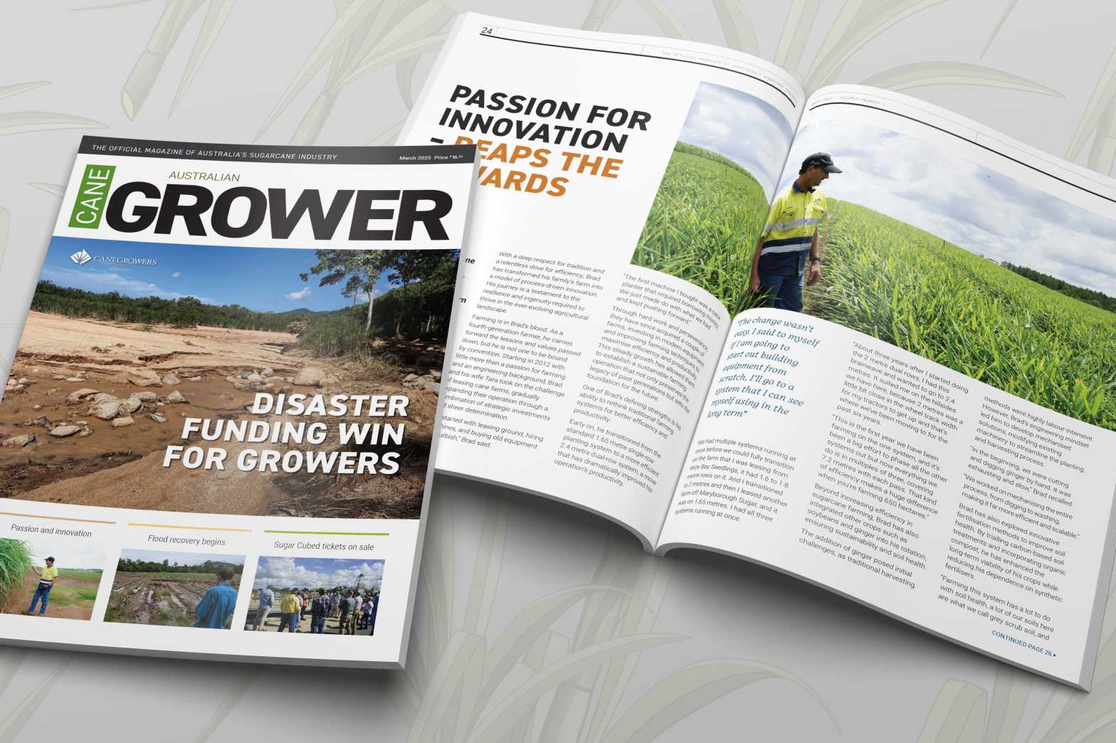  Magazine In situ 2025 March 