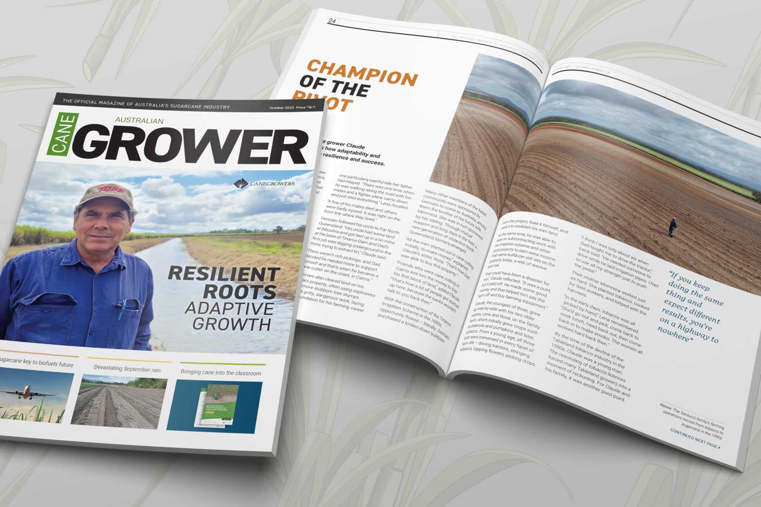  Magazine In situ 2025 October 