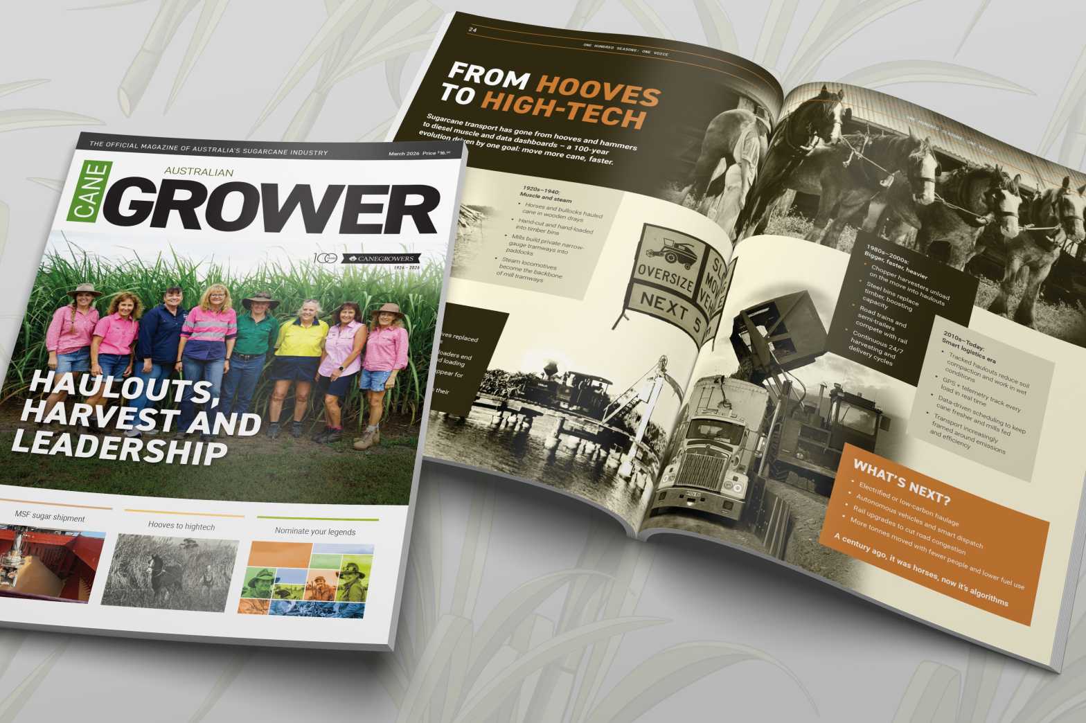  Mar26 Magazine In situ 