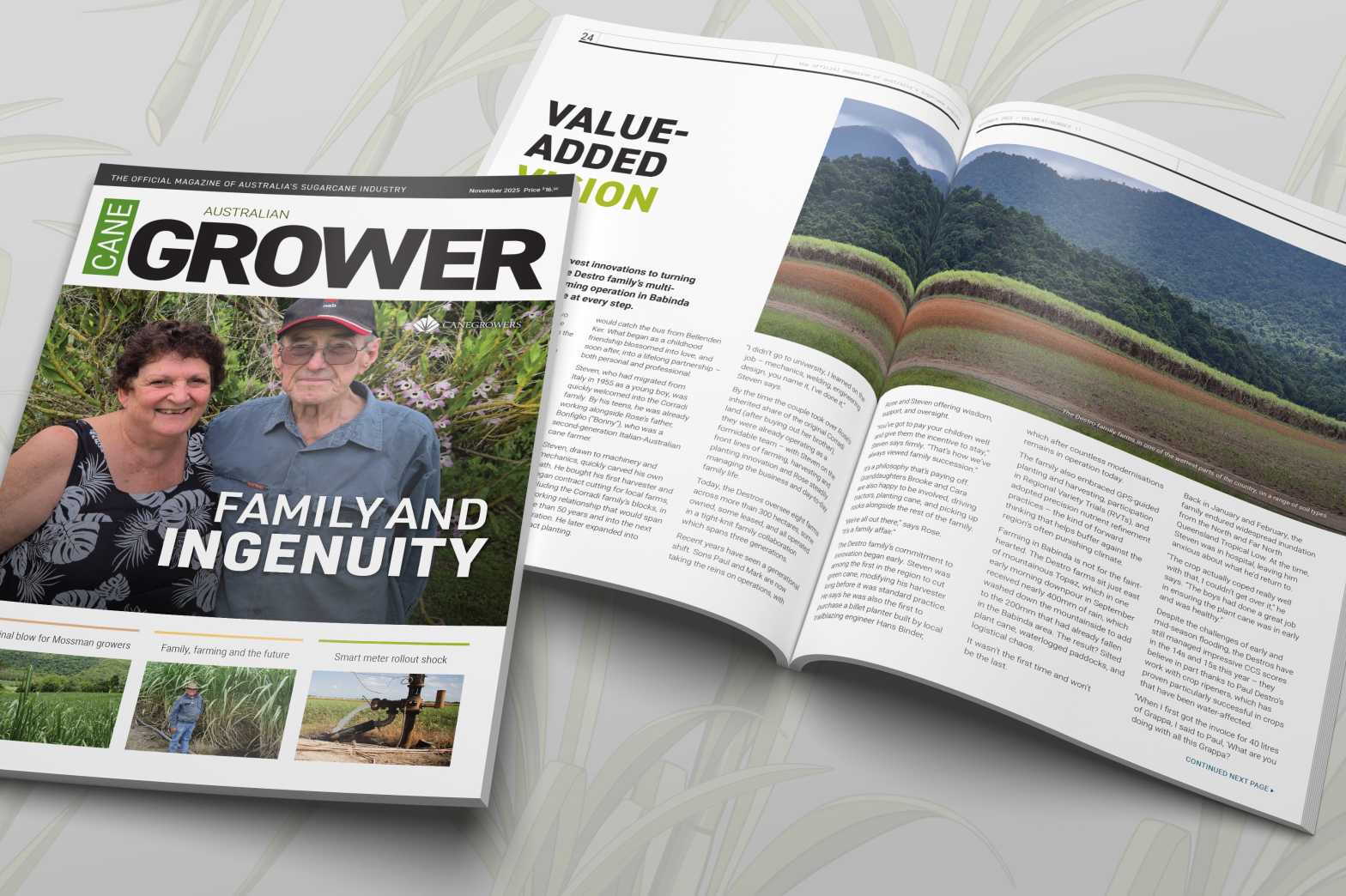  Nov25 Magazine In situ 