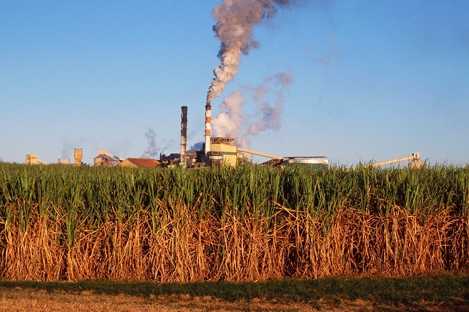  A MILLING MILL Central Racecourse 05 SMALL 