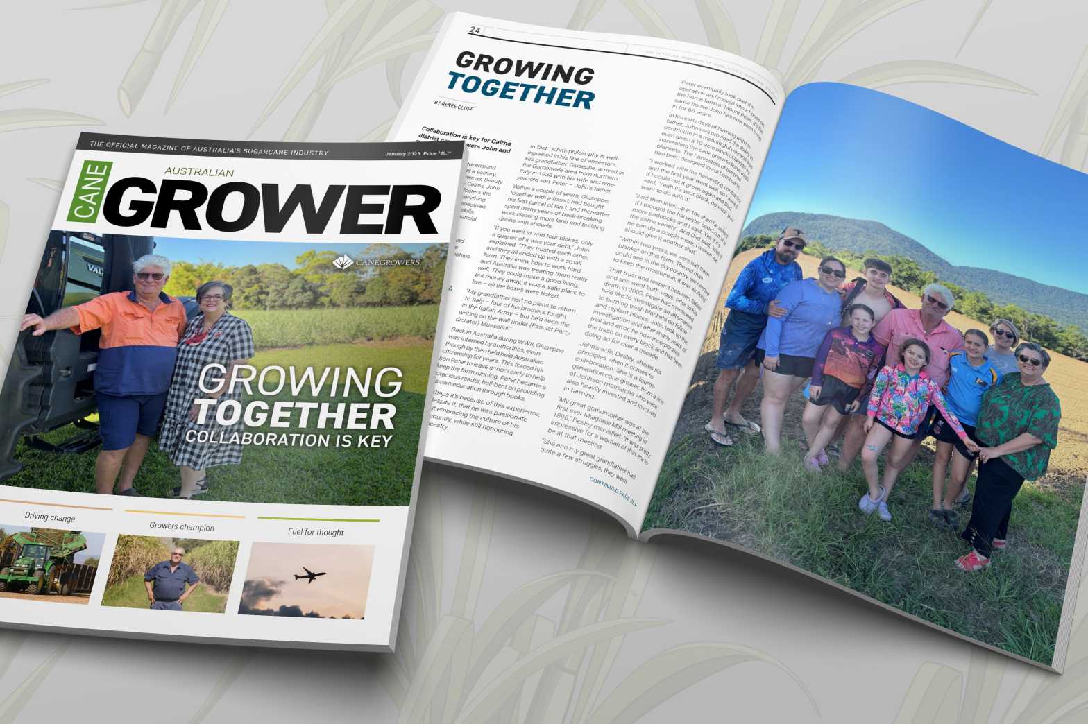  Magazine In situ 2025 January 