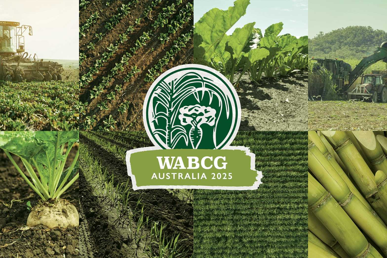  WABCG Digital screen 